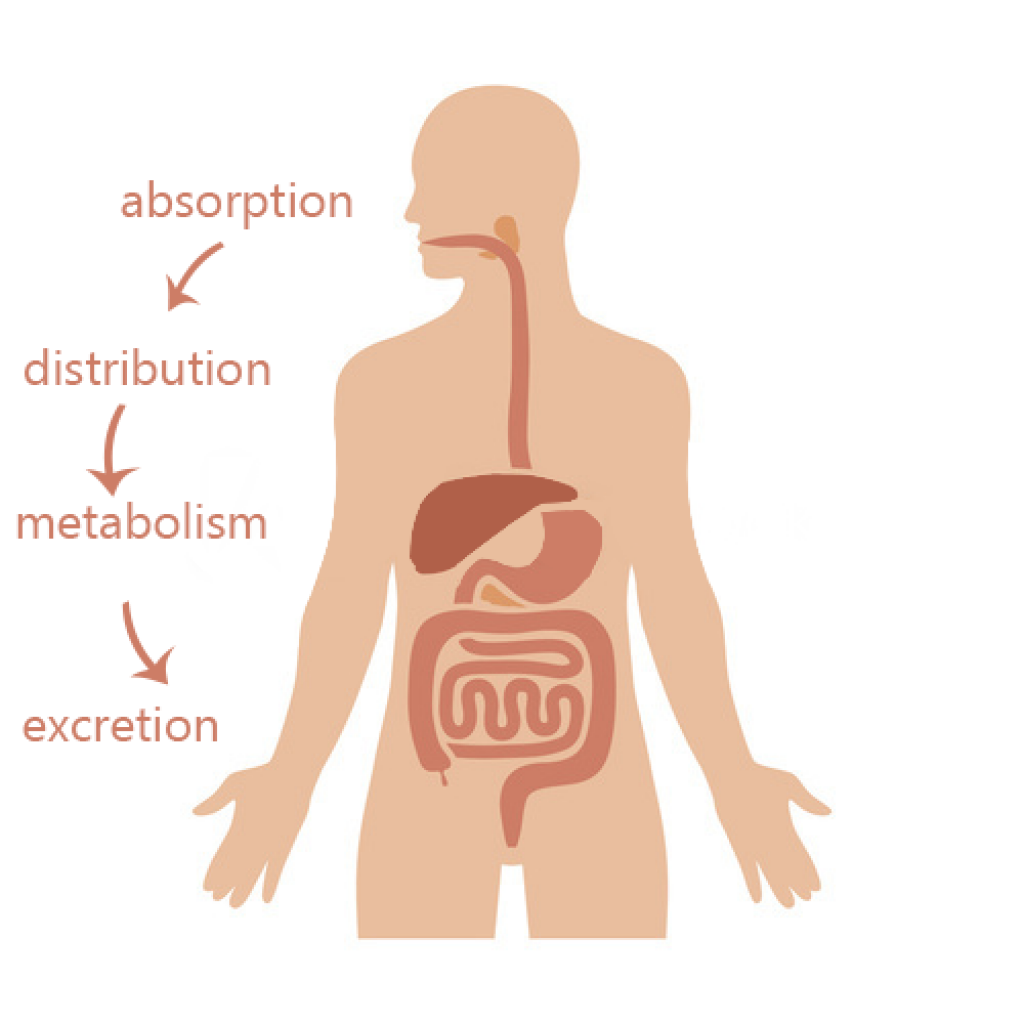 High bioavailability curcuprim